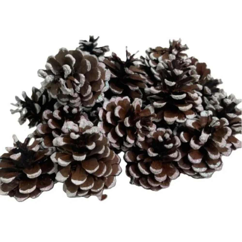 23 Real Pinecones White Glitter Painted Tips for Crafts or Decorating Avg 3